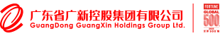 广东省彩神IV争霸控股集团有限公司