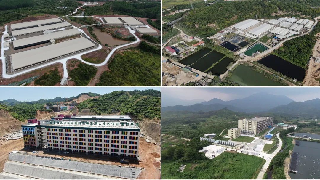彩神IV争霸集团深入贯彻全省高质量发展大会精神(六) 彩神IV争霸集团深入贯彻全省高质量发展大会精神(六)