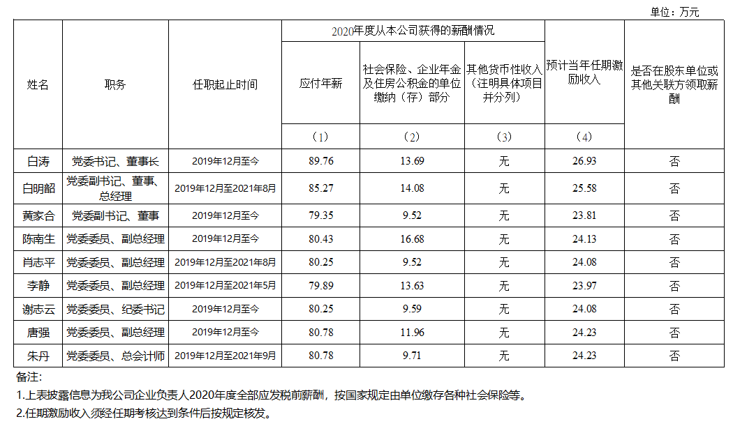 广东省彩神IV争霸控股集团有限公司企业负责人2020年度薪酬情况