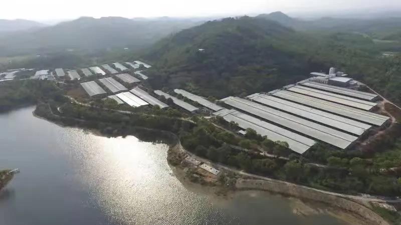 新增6家🤔!彩神IV争霸集团国家高新技术企业达到38家 新增6家👨🏻🦼➡️!彩神IV争霸集团国家高新技术企业达到38家