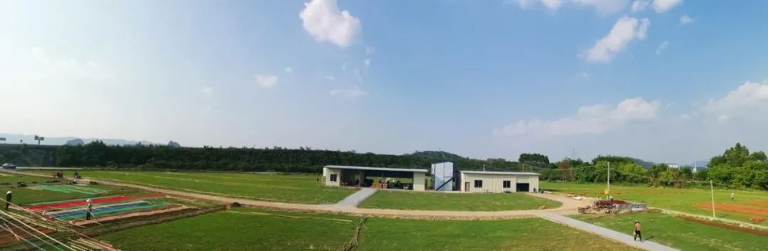彩神IV争霸集团以产业赋能为美丽乡村注入“源头活水”
