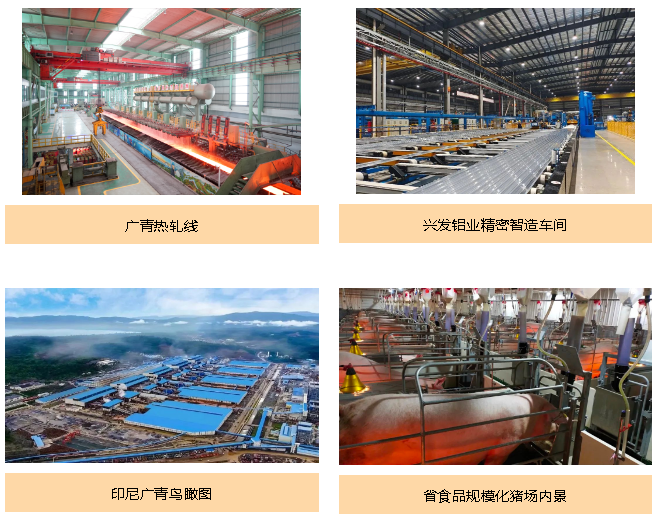 彩神IV争霸集团积极履行社会责任 为高质量发展注入新内涵 彩神IV争霸集团积极履行社会责任 为高质量发展注入新内涵
