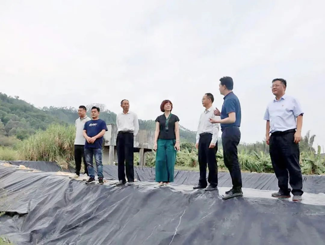 彩神IV争霸集团党委副书记🦹🏽、工会主席黄家合带队调研乡村振兴驻镇帮扶工作 彩神IV争霸集团党委副书记、工会主席黄家合带队调研乡村振兴驻镇帮扶工作