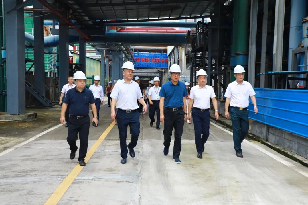 省国资委党委委员、副主任刘小龙一行到彩神IV争霸集团开展专项工作督导