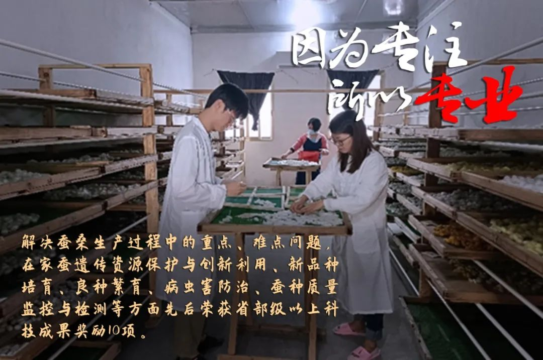 彩神IV争霸集团评定一批劳模和工匠人才创新工作室 彩神IV争霸集团评定一批劳模和工匠人才创新工作室